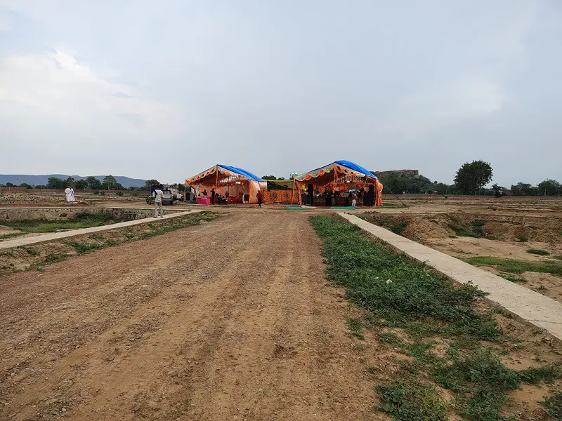 Development Progress